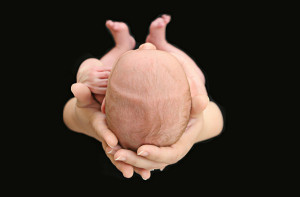 Baby-Levi---newborn-in-hands-photography.jpg