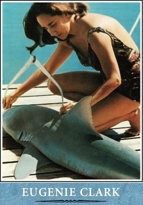 Want to Read saving…