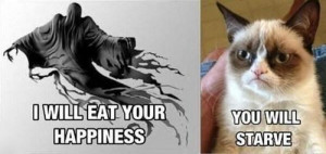 Grumpy Cat may be frowning, but everytime I see her, I can’t help ...