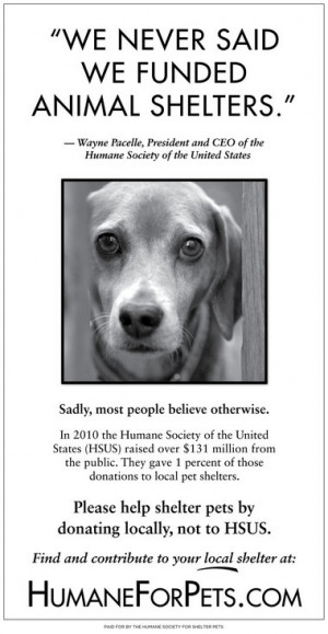Humane Society of U.S. doesn't fund local shelters (Poll): Animals in ...