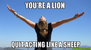 lion opinions of sheep