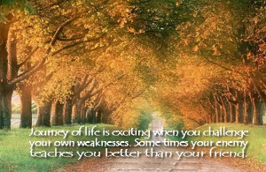 Journey of Life Is Exciting when You Challenge ~ Challenge Quote