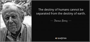 Thomas Berry Quotes