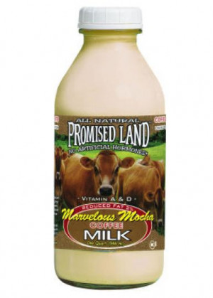 Promised Land DairyThe Texas creamery quotes Deuteronomy 26:9 on its