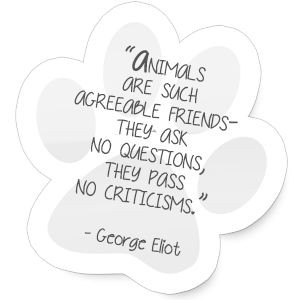 thumbs_pet-quotes-paw-2.png (300×300)
