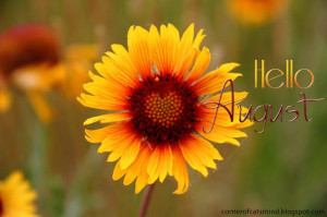 Hello August sunflower month august hello august august quotes