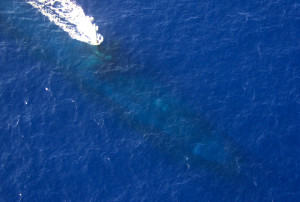 Submarine at sea