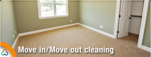 Funny Carpet Cleaning