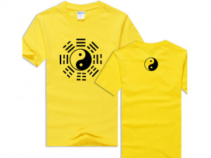 Tai Chi T-shirt Eight Trigrams Grey