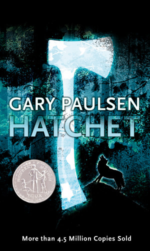 Hatchet Book Pictures