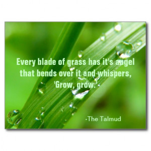 Every Blade of Grass Quote Postcard
