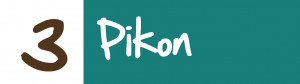 PIKON