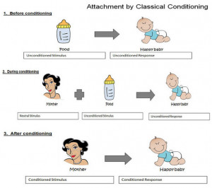 attachment classical conditioning