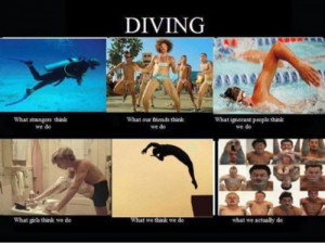 diving #springboard diving #meme
