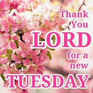 Thank you for a new Tuesday quotes quote god lord days of the week ...