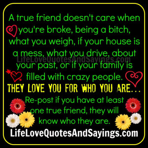 True Friend Quotes A true friend doesn't care.