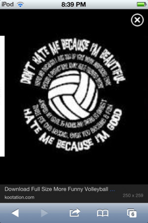 Volleyball Hitter Quotes