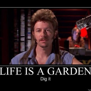 Joe Dirt....Too Funny