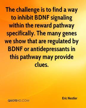 The challenge is to find a way to inhibit BDNF signaling within the ...