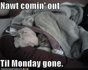 funny-pictures-cat-is-not-coming-out-until-monday-is-gone.jpg