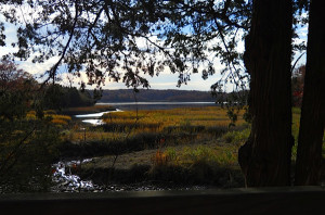 Itzhak Perlman, playing the remainder of his violin concert after the ...
