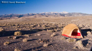 High desert camping in Nevada with early morning light on the White ...