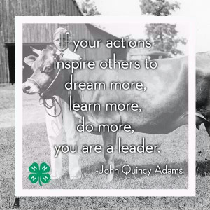 Used this quote in my 4-H speech on Leadership :)