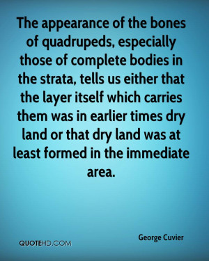 bones of quadrupeds, especially those of complete bodies in the strata ...