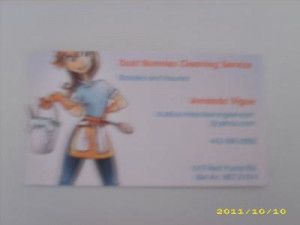 Dust Bunnies Cleaning Service of Maryland