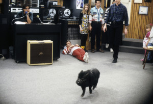 JOHN STAMOS;DAVE COULIER;ANDREA BARBER;SCOTT WEINGER;UNKNOWN;BOB SAGET ...