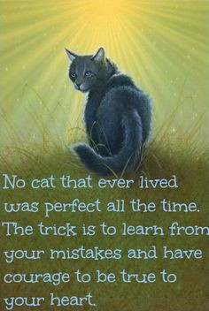 Warrior Cats Quotes And Sayings. QuotesGram