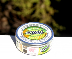 Skoal Xtra Pouches