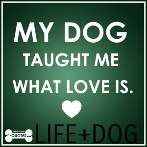 Quotable Quotes from LIFE+DOG