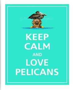 Will always love pelicans!