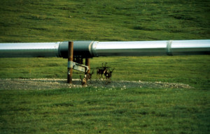 Alaska’s Arctic National Wildlife Refuge regained national attention ...