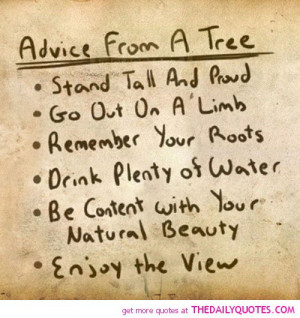 Funny Quotes And Sayings