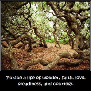 Inspirational Quotes: Pursue a life of wonder, faith, love, steadiness ...