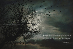 Full Moon Bible Verse Fine Art Photography- Psalm 91- Birds Tree Moon ...