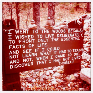 ... this was the site of Thoreau's cabin at Walden Pond- love this quote