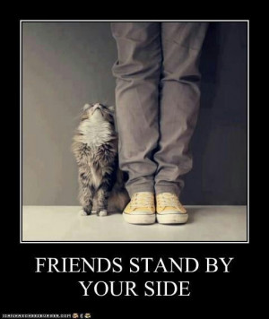 Friends stand by your side