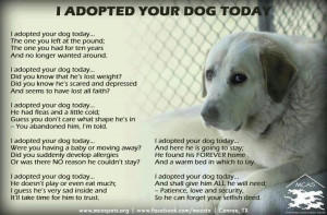 Animal Rescue, Dogs Today, Dogs Animal, Adoption A Dogs, Pet, So True ...