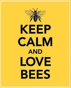 ... honey bees bees things bees honey calm quotes queens bees bumble bees