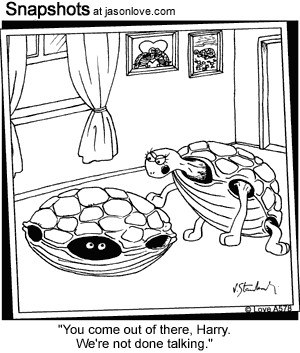 00831-funny-cartoons-turtle-shell