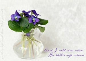 This past Easter Sunday at church as we celebrated the resurrection of ...