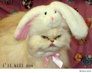 quotes, daily quotes, funny animals, funny conversations, funny easter ...