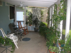Our Back Porch - July 2006