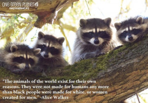 14 Quotes Every Animal Advocate Should Know By Heart