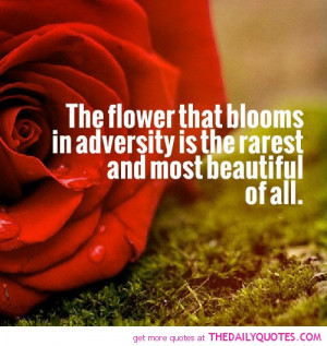 the-flower-that-blooms-in-adversity-life-quotes-sayings-pictures.jpg
