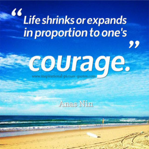 Email This BlogThis! Share to Twitter Share to Facebook Share to ...