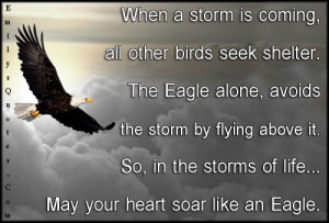 When a storm is coming, all other birds seek shelter. The Eagle alone ...